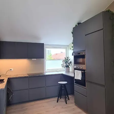 Modern One-bedroom With Balcony Στάβανγκερ