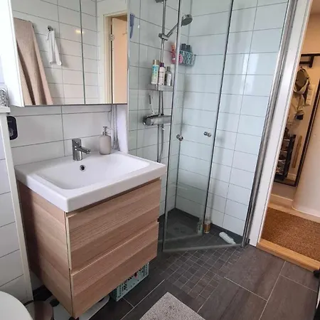 Modern One-bedroom With Balcony Apartment